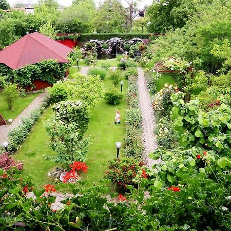 Pension Delia Gardens Timisoara Exterior foto