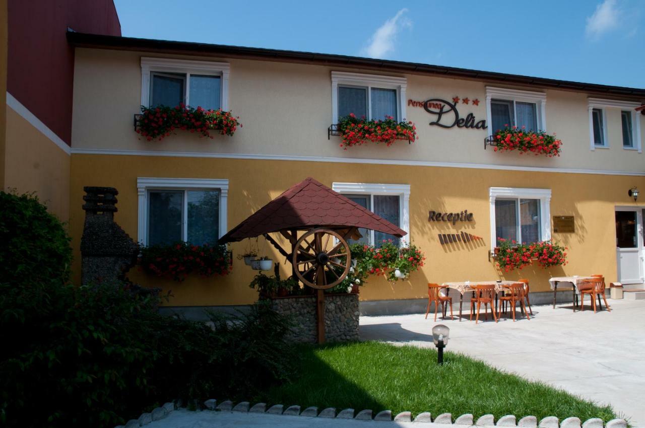 Pension Delia Gardens Timisoara Exterior foto