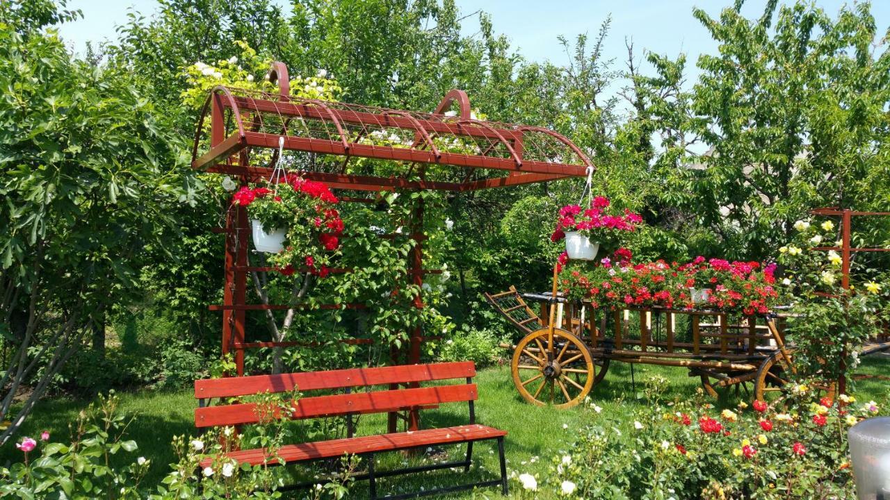 Pension Delia Gardens Timisoara Exterior foto