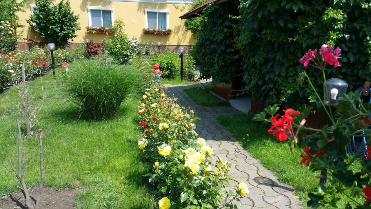 Pension Delia Gardens Timisoara Exterior foto