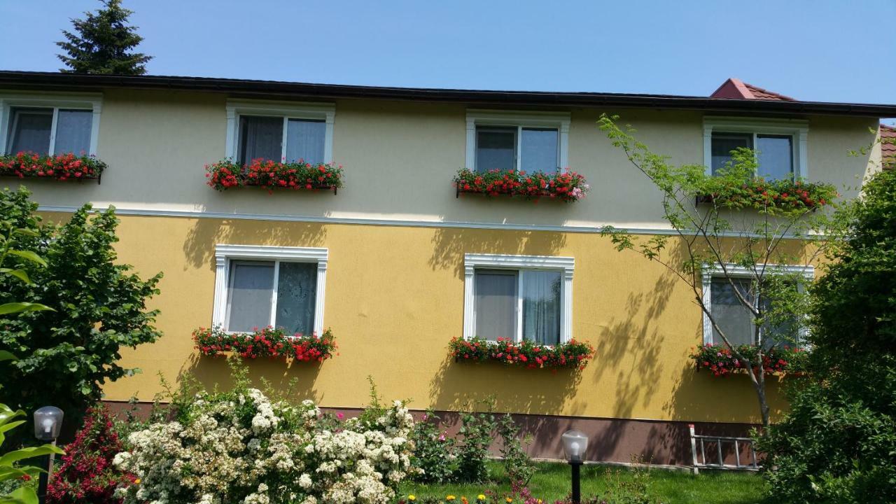 Pension Delia Gardens Timisoara Exterior foto