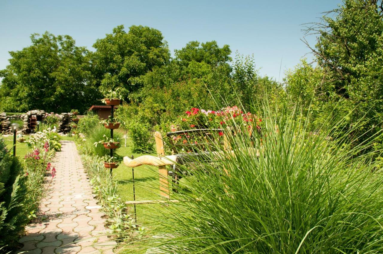 Pension Delia Gardens Timisoara Exterior foto