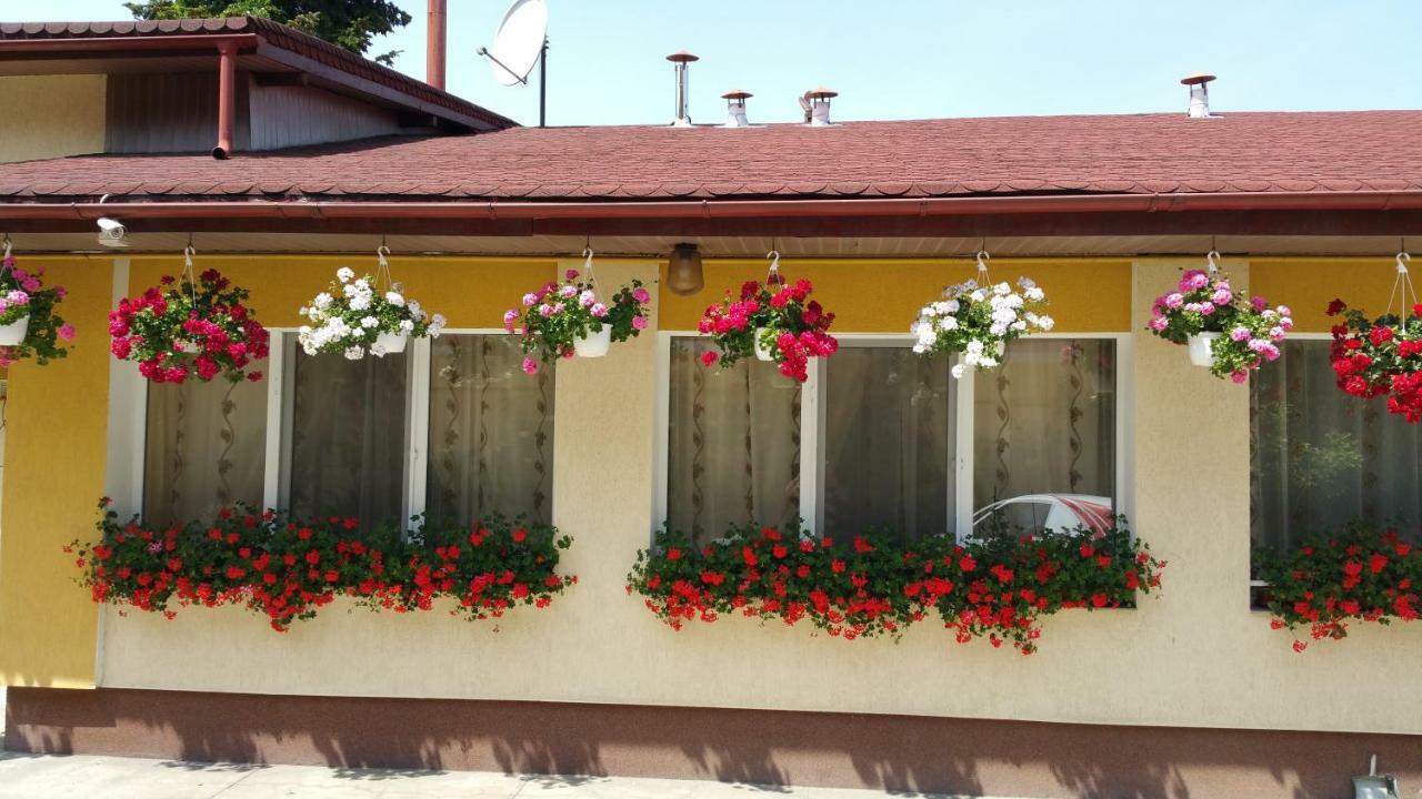 Pension Delia Gardens Timisoara Exterior foto